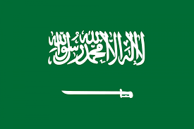 شات سعودي